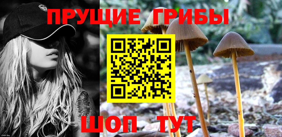 Галлюциногенные грибы GOLDEN TEACHER  Вход с VPN  Галлюциногенные грибы GOLDEN TEACHER  Когалым 